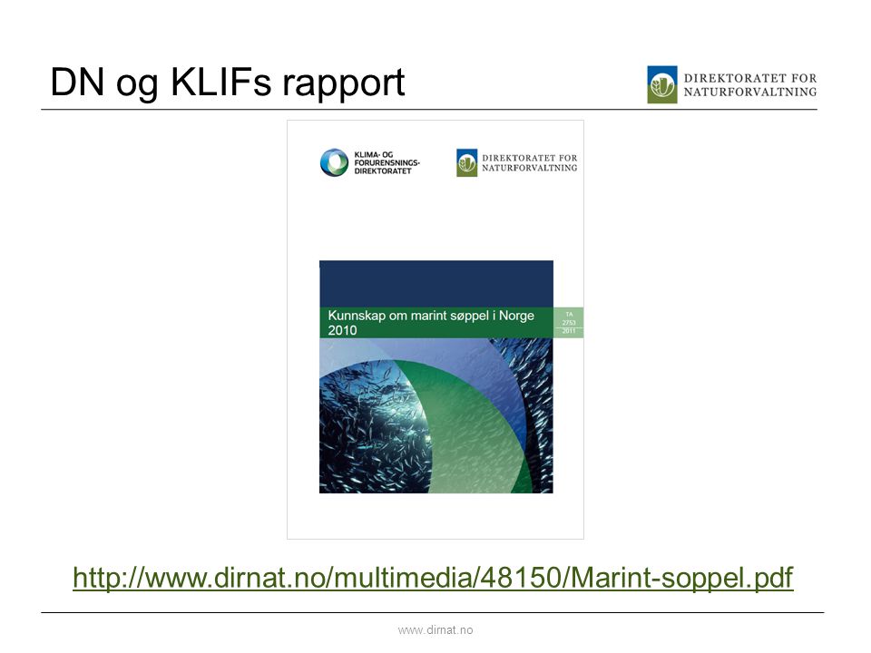 DN og KLIFs rapport