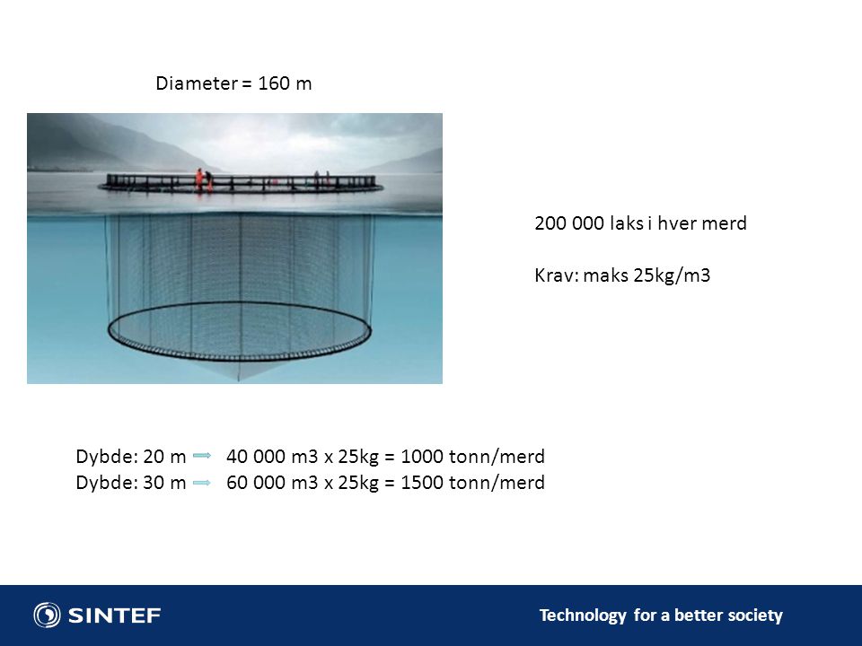 Diameter = 160 m laks i hver merd. Krav: maks 25kg/m3. Dybde: 20 m m3 x 25kg = 1000 tonn/merd.