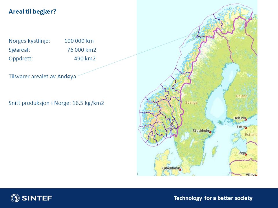 Areal til begjær Norges kystlinje: km Sjøareal: km2