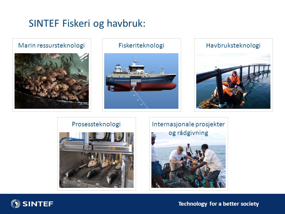 SINTEF Fiskeri og havbruk: