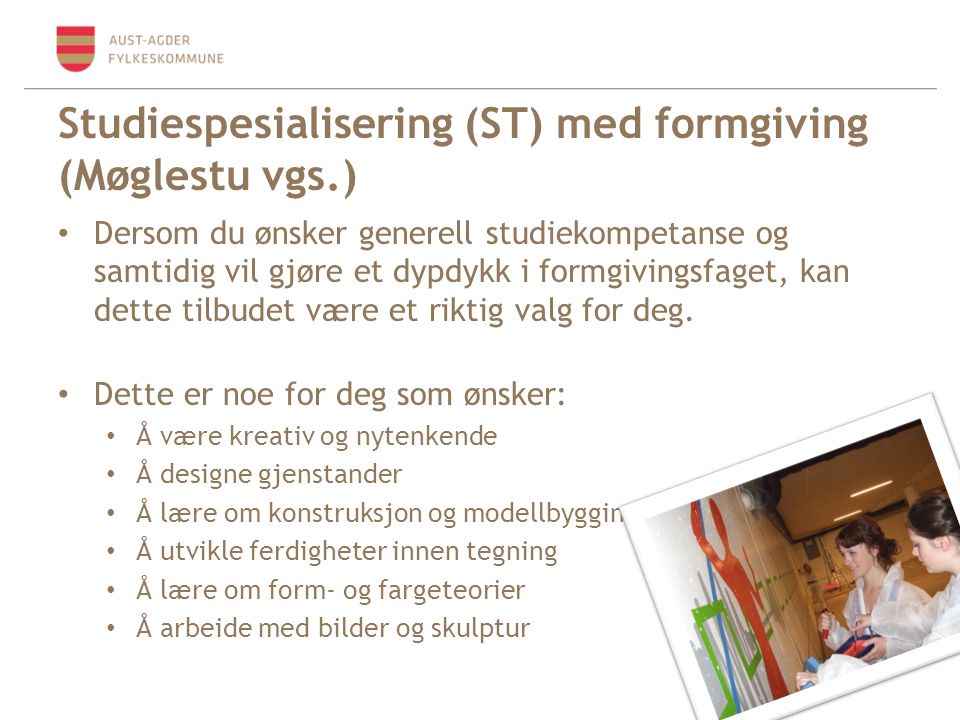 Studiespesialisering (ST) med formgiving (Møglestu vgs.)
