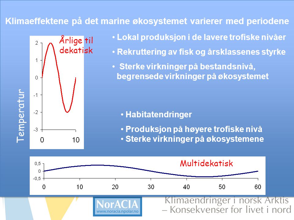 Klimaeffektene på det marine økosystemet varierer med periodene