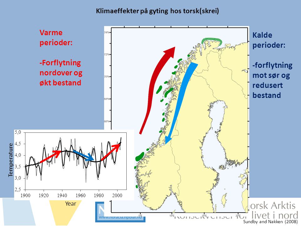 Klimaeffekter på gyting hos torsk(skrei)