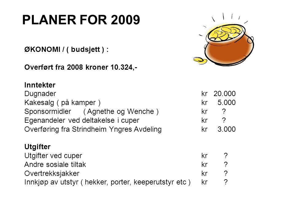 PLANER FOR 2009 ØKONOMI / ( budsjett ) :