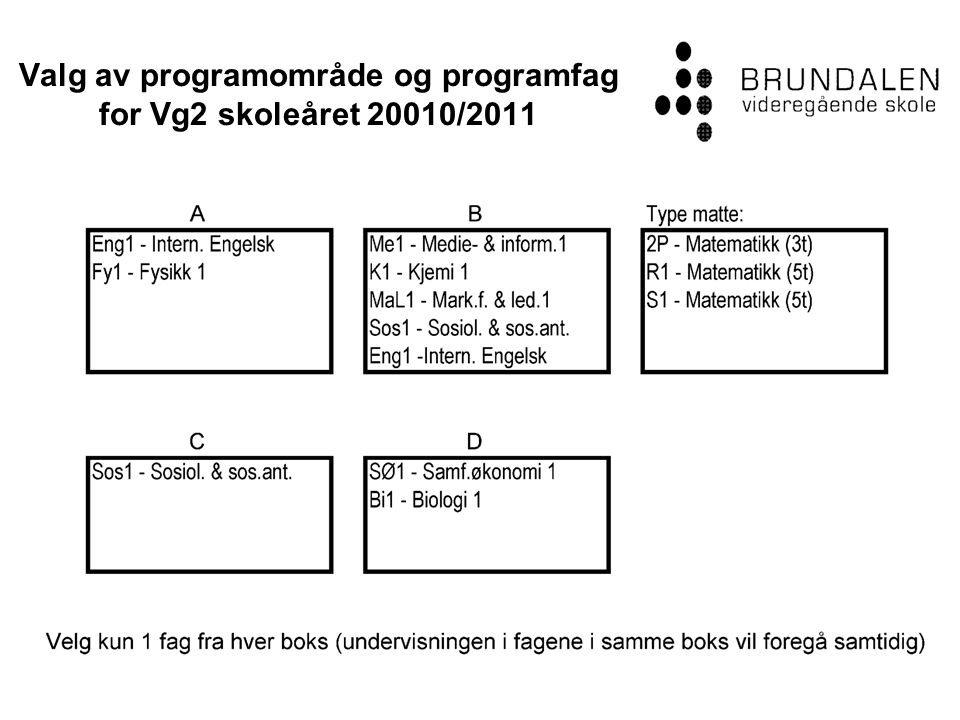 Valg av programområde og programfag for Vg2 skoleåret 20010/2011