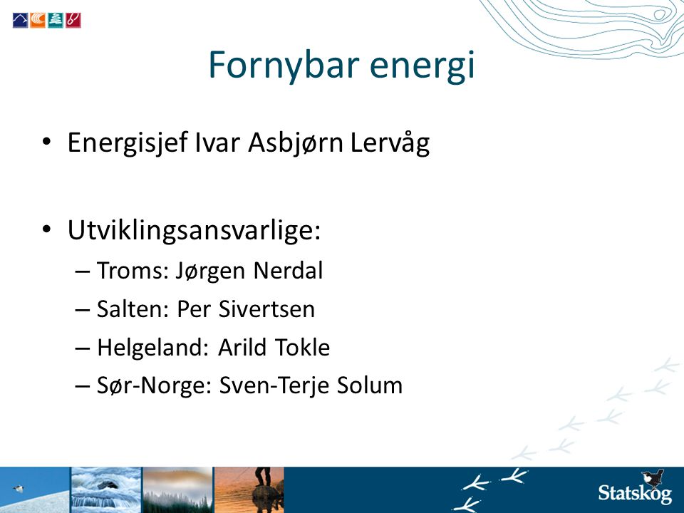 Fornybar energi Energisjef Ivar Asbjørn Lervåg Utviklingsansvarlige: