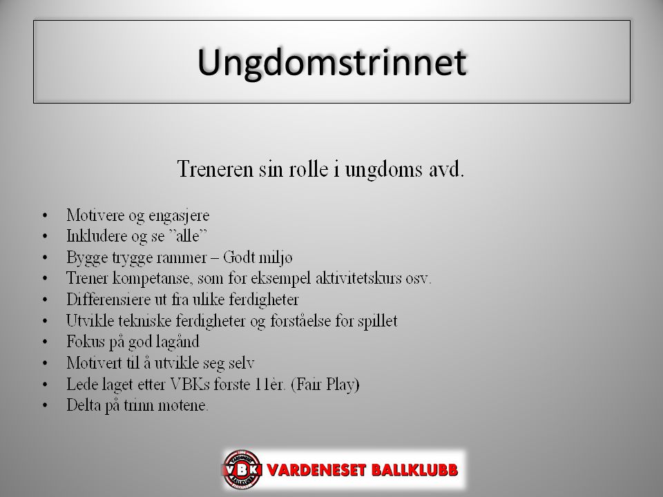 Ungdomstrinnet