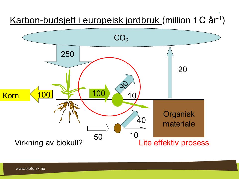Karbon-budsjett i europeisk jordbruk (million t C år-1)