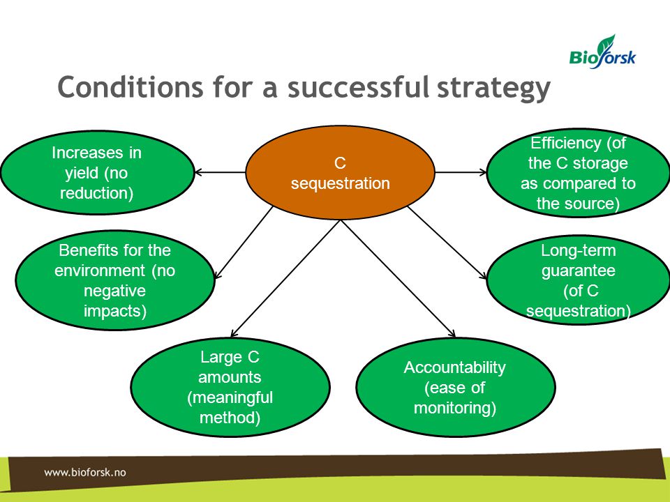 Conditions for a successful strategy