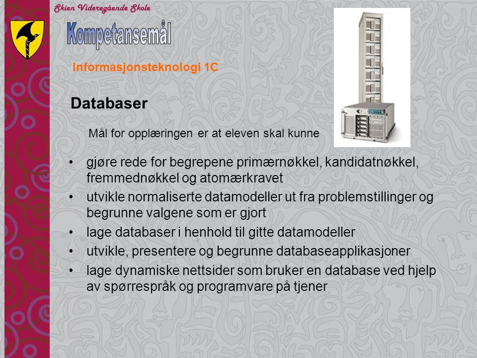 Kompetansemål Databaser