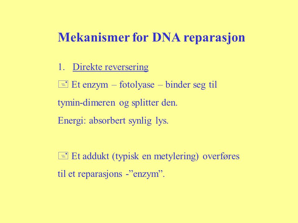 Mekanismer for DNA reparasjon