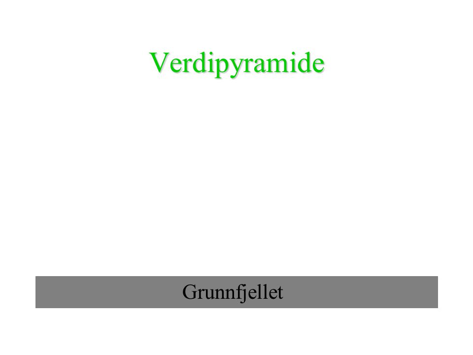 Verdipyramide Grunnfjellet