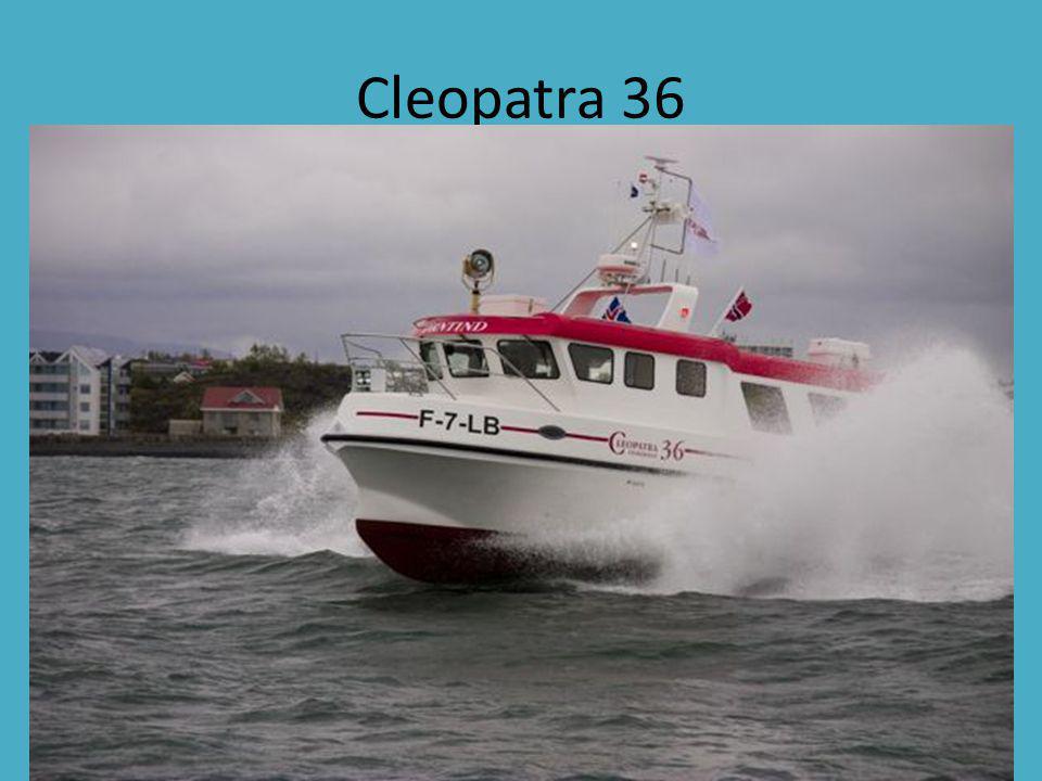 Cleopatra 36