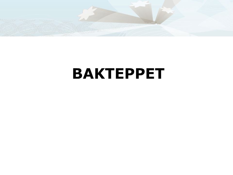 BAKTEPPET