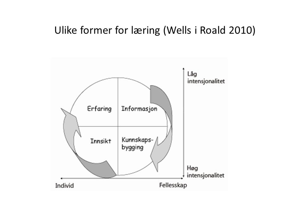 Ulike former for læring (Wells i Roald 2010)