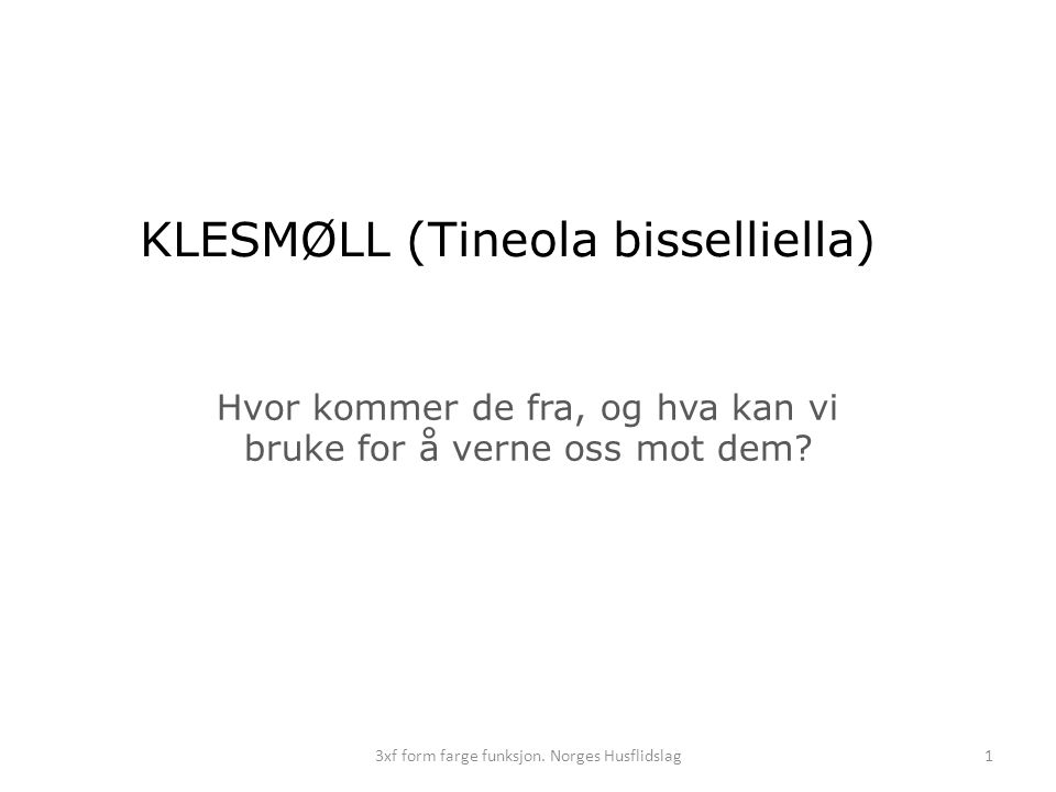KLESMØLL (Tineola bisselliella)