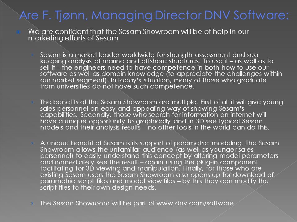 Are F. Tjønn, Managing Director DNV Software: