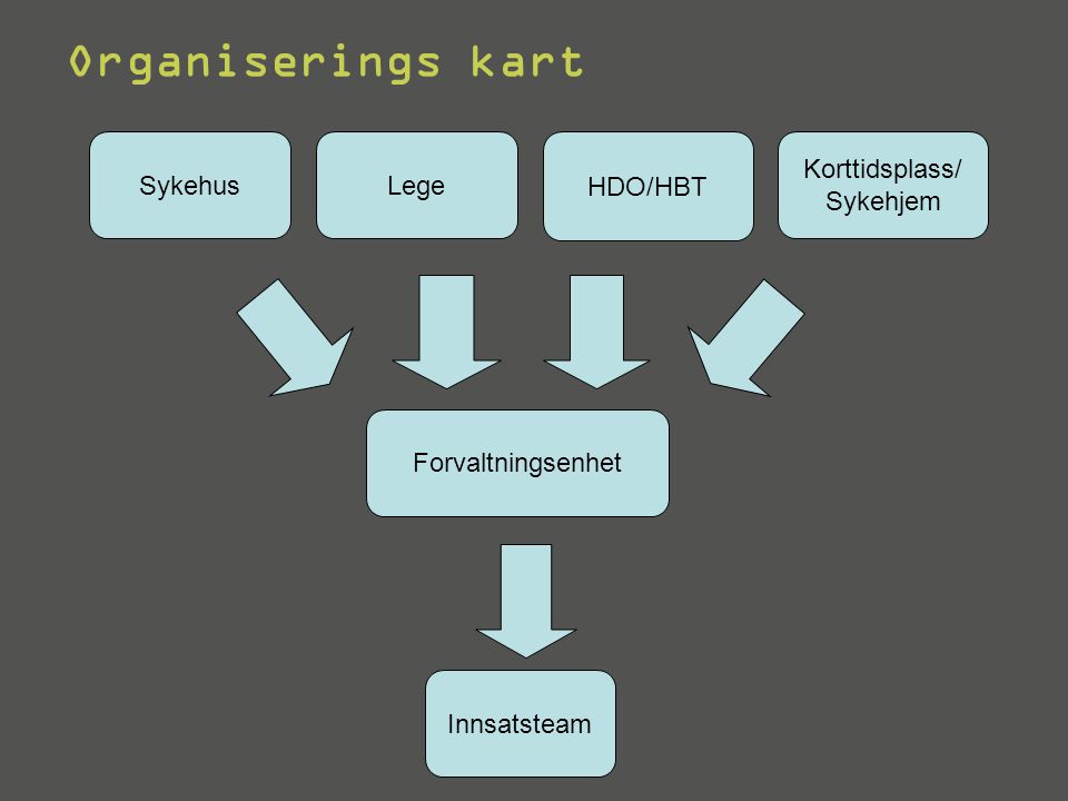 Organiserings kart Sykehus Lege HDO/HBT Korttidsplass/ Sykehjem