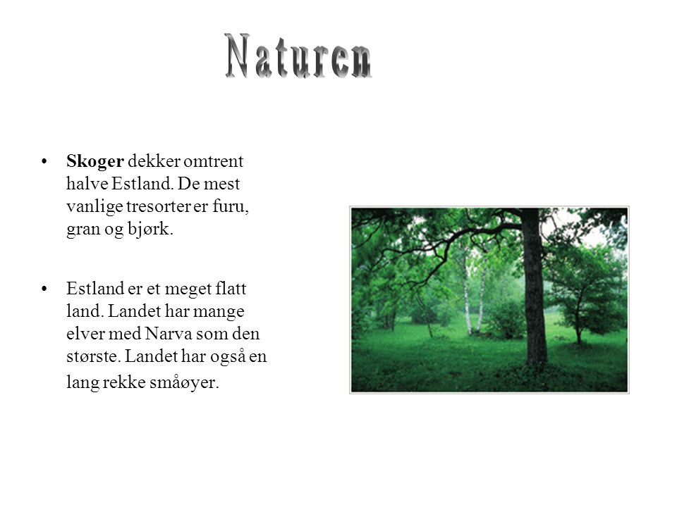 Naturen Skoger dekker omtrent halve Estland. De mest vanlige tresorter er furu, gran og bjørk.