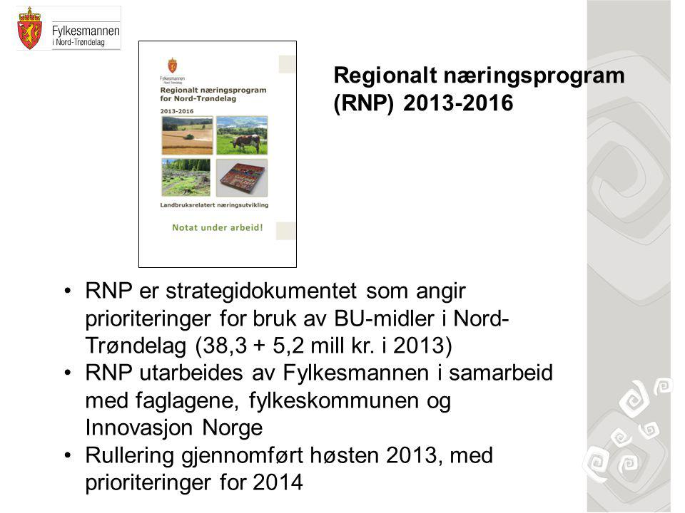 Regionalt næringsprogram (RNP)