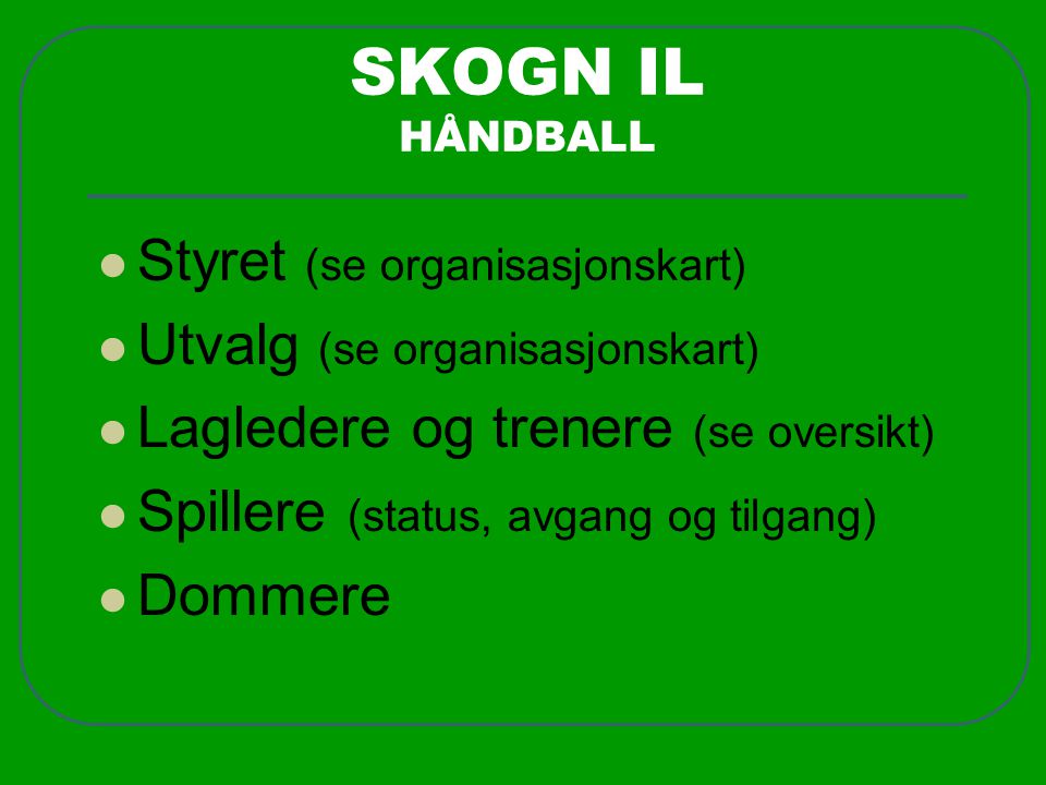 SKOGN IL HÅNDBALL Styret (se organisasjonskart)