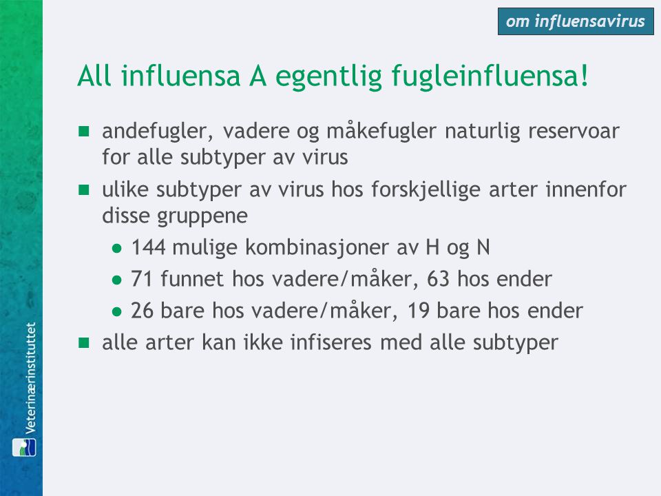 All influensa A egentlig fugleinfluensa!