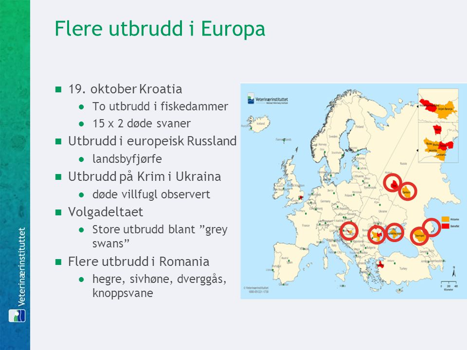 Flere utbrudd i Europa 19. oktober Kroatia