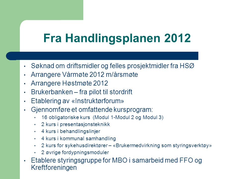 Fra Handlingsplanen 2012 Søknad om driftsmidler og felles prosjektmidler fra HSØ. Arrangere Vårmøte 2012 m/årsmøte.