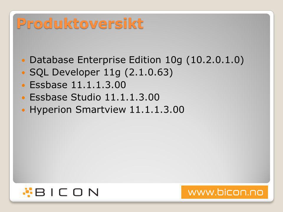 Produktoversikt Database Enterprise Edition 10g ( )