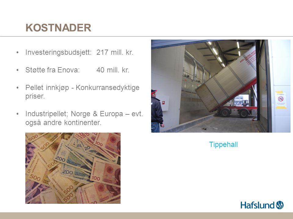 KOSTNADER Investeringsbudsjett: 217 mill. kr.