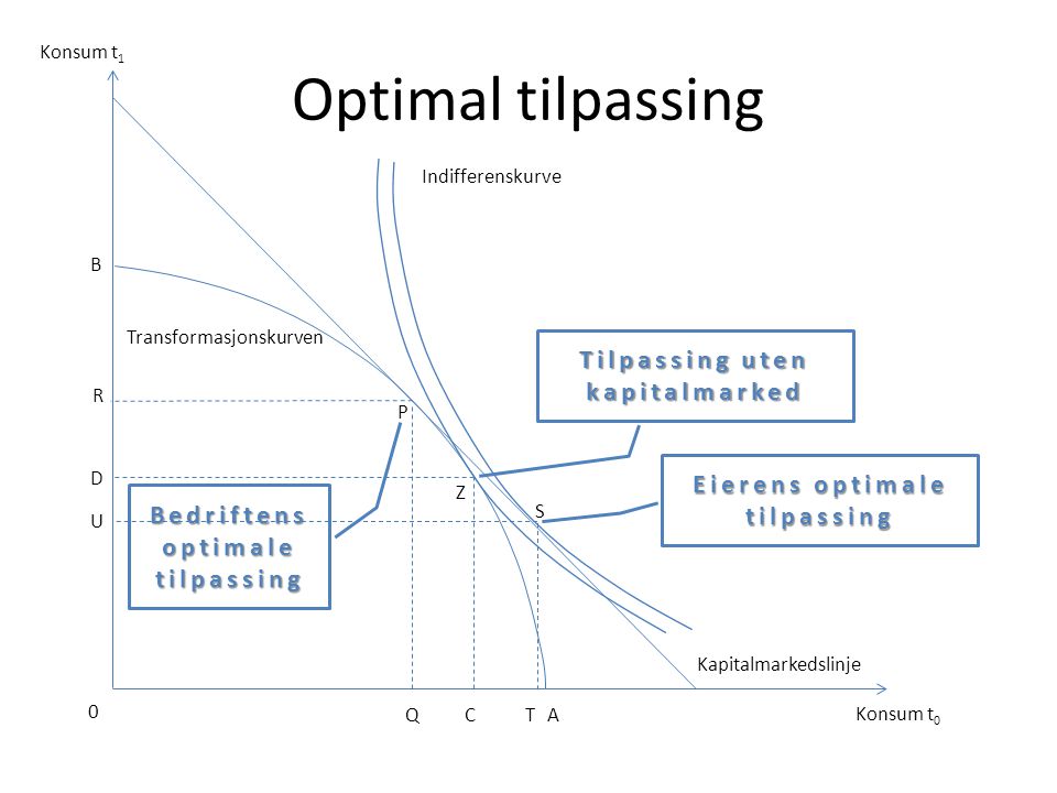 Optimal tilpassing Tilpassing uten kapitalmarked