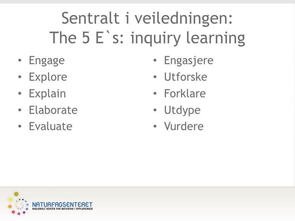 Sentralt i veiledningen: The 5 E`s: inquiry learning