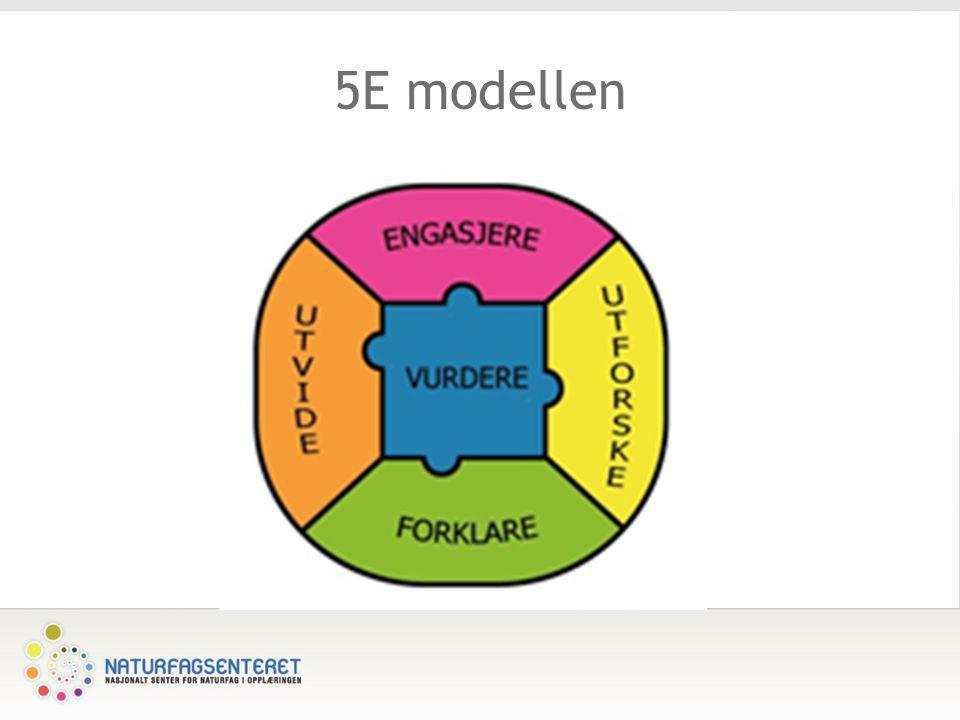 5E modellen