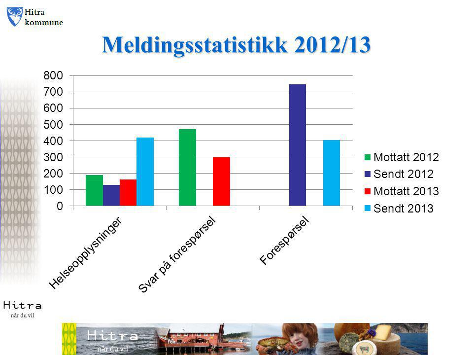 Meldingsstatistikk 2012/13