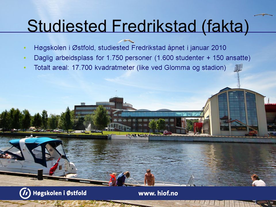 Studiested Fredrikstad (fakta)