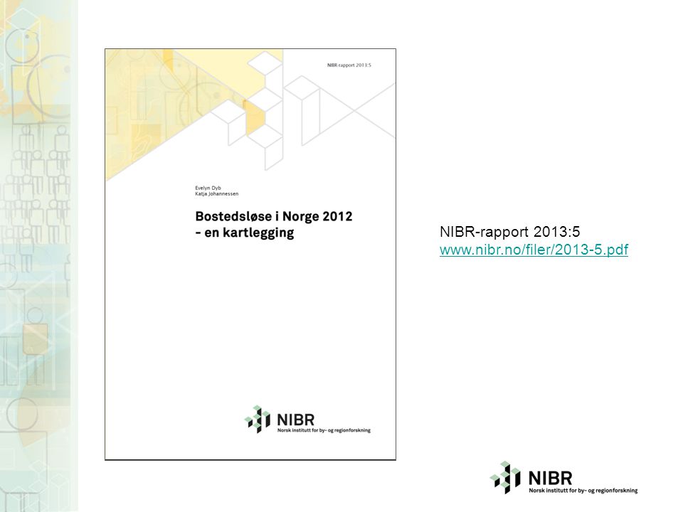 NIBR-rapport 2013:5