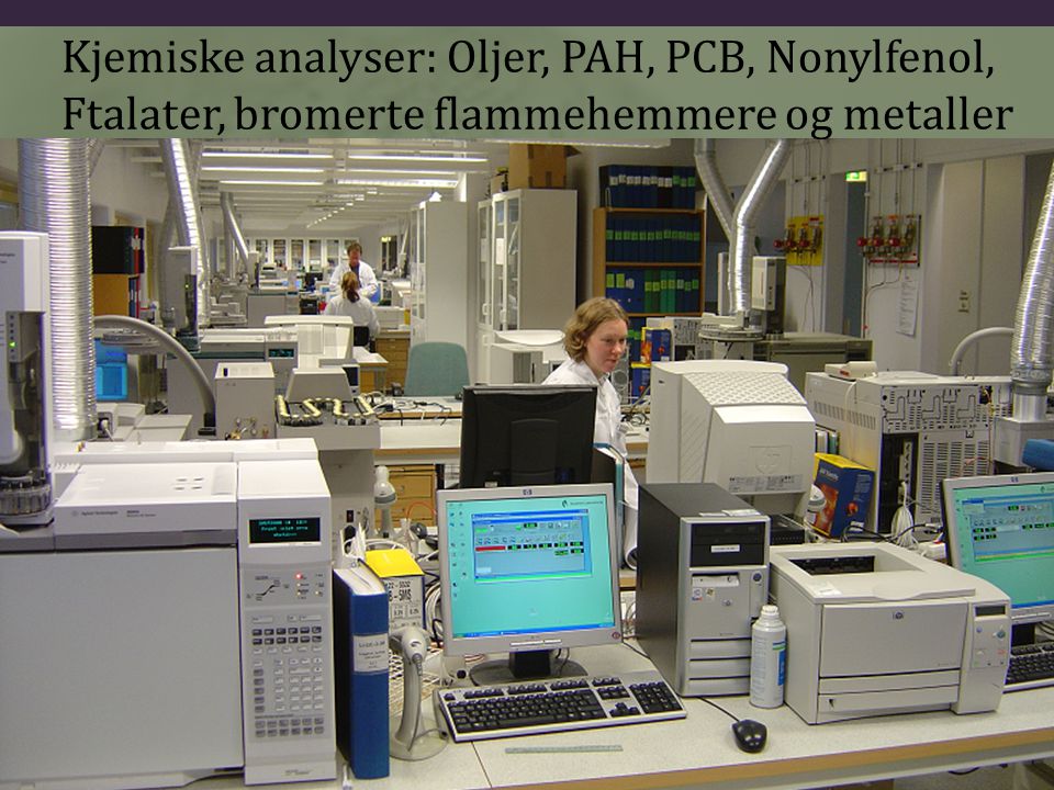 Kjemiske analyser: Oljer, PAH, PCB, Nonylfenol,
