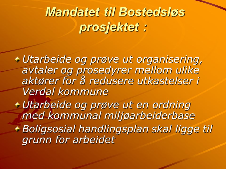 Mandatet til Bostedsløs prosjektet :