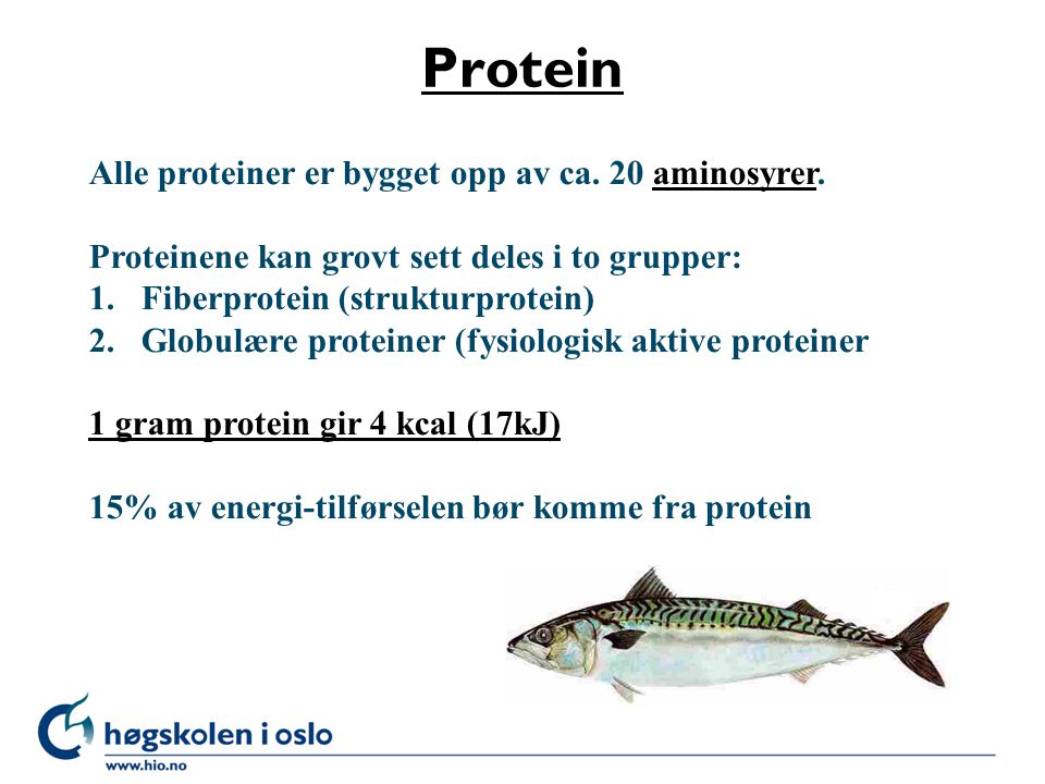Protein Alle proteiner er bygget opp av ca. 20 aminosyrer.