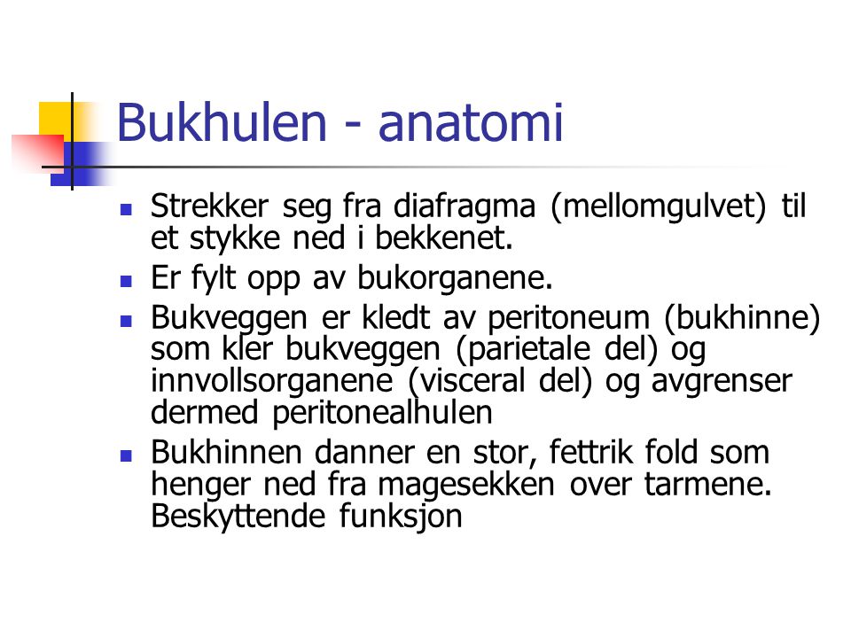 Bukhulen - anatomi Strekker seg fra diafragma (mellomgulvet) til et stykke ned i bekkenet. Er fylt opp av bukorganene.