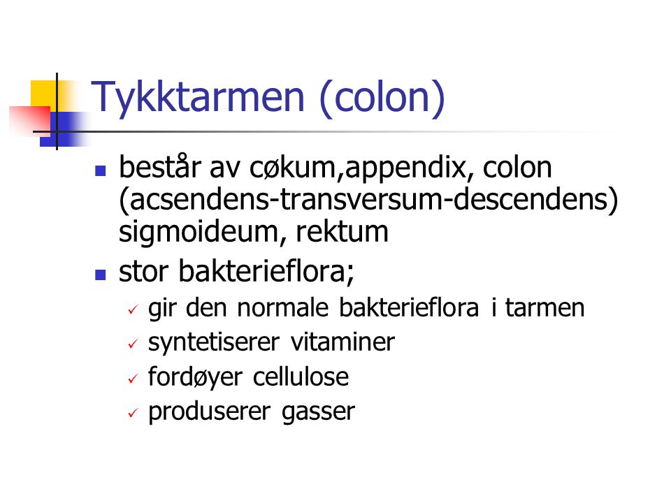 Tykktarmen (colon) består av cøkum,appendix, colon (acsendens-transversum-descendens) sigmoideum, rektum.
