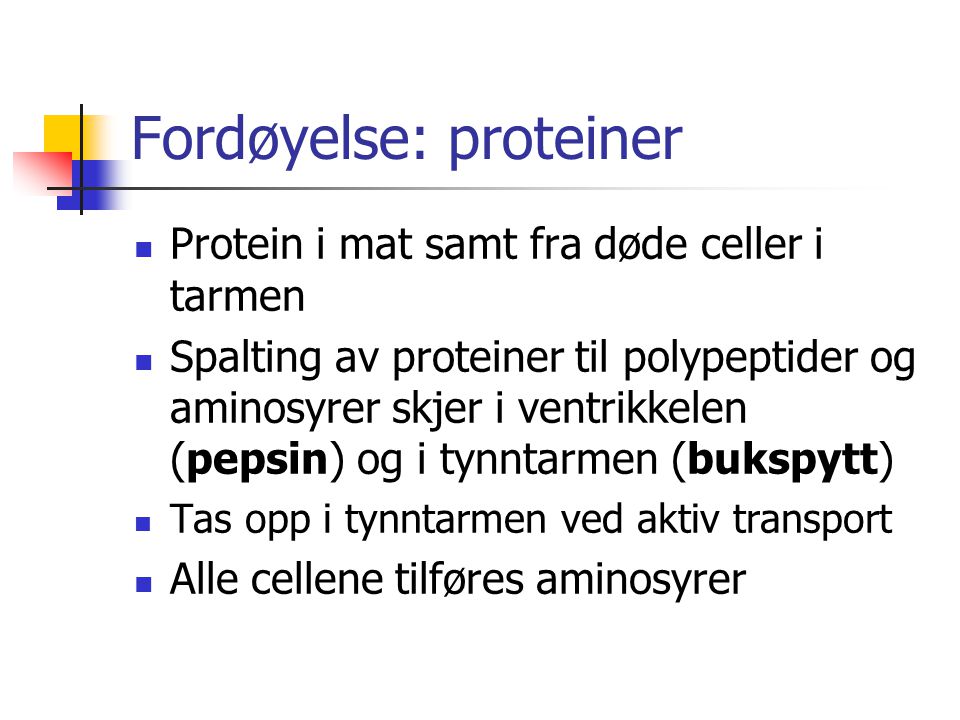 Fordøyelse: proteiner