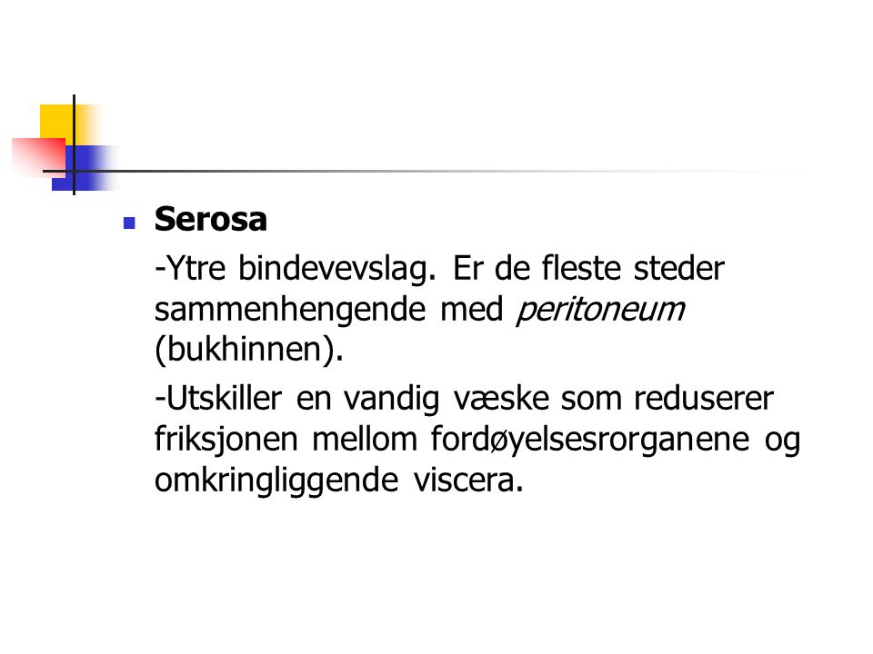 Serosa -Ytre bindevevslag. Er de fleste steder sammenhengende med peritoneum (bukhinnen).