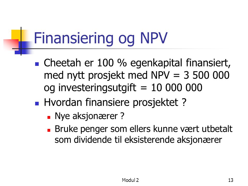 Finansiering og NPV Cheetah er 100 % egenkapital finansiert, med nytt prosjekt med NPV = og investeringsutgift =