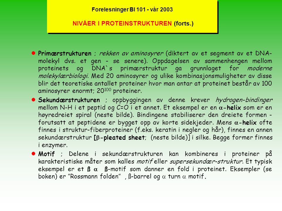 Forelesninger BI vår 2003 NIVÅER I PROTEINSTRUKTUREN (forts.)
