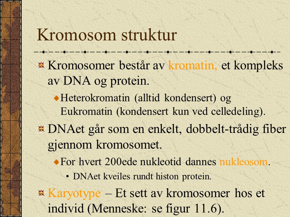 Kromosom struktur Kromosomer består av kromatin, et kompleks av DNA og protein.