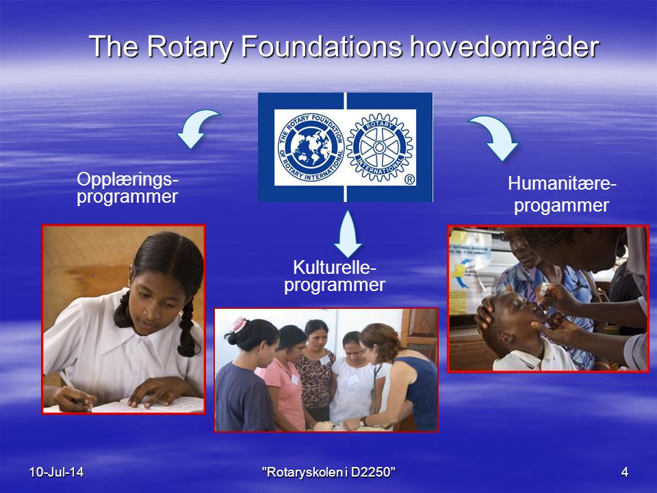 The Rotary Foundations hovedområder