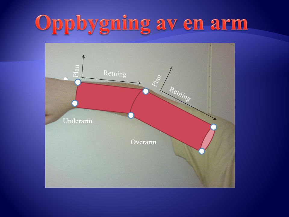 Oppbygning av en arm Retning Plan Overarm Underarm