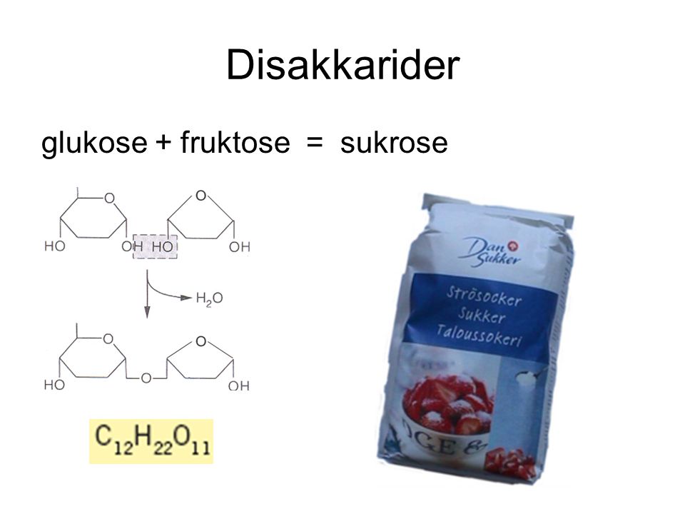Disakkarider glukose + fruktose = sukrose