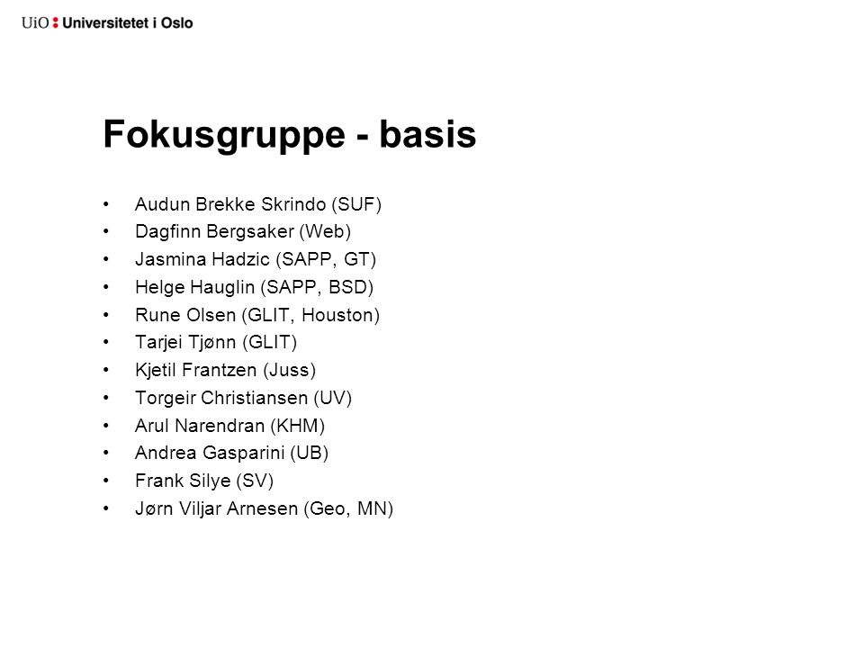 Fokusgruppe - basis Audun Brekke Skrindo (SUF) Dagfinn Bergsaker (Web)